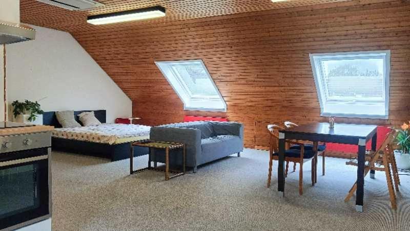 Big Cozy Entire Family Appartment Hannover Eksteriør billede